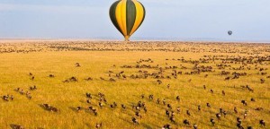 Luchtballon vlucht Serengeti Tanzania