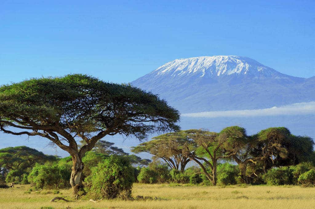 kilimanjaro