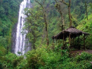 Marangu Falls