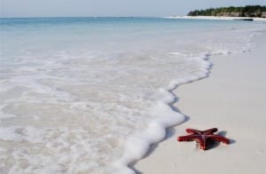 Witte zandstranden zanzibar