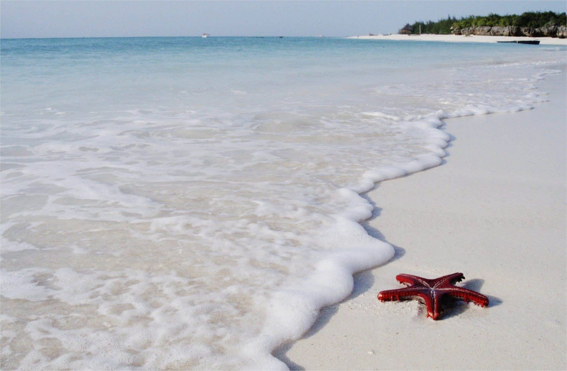 Witte zandstranden zanzibar