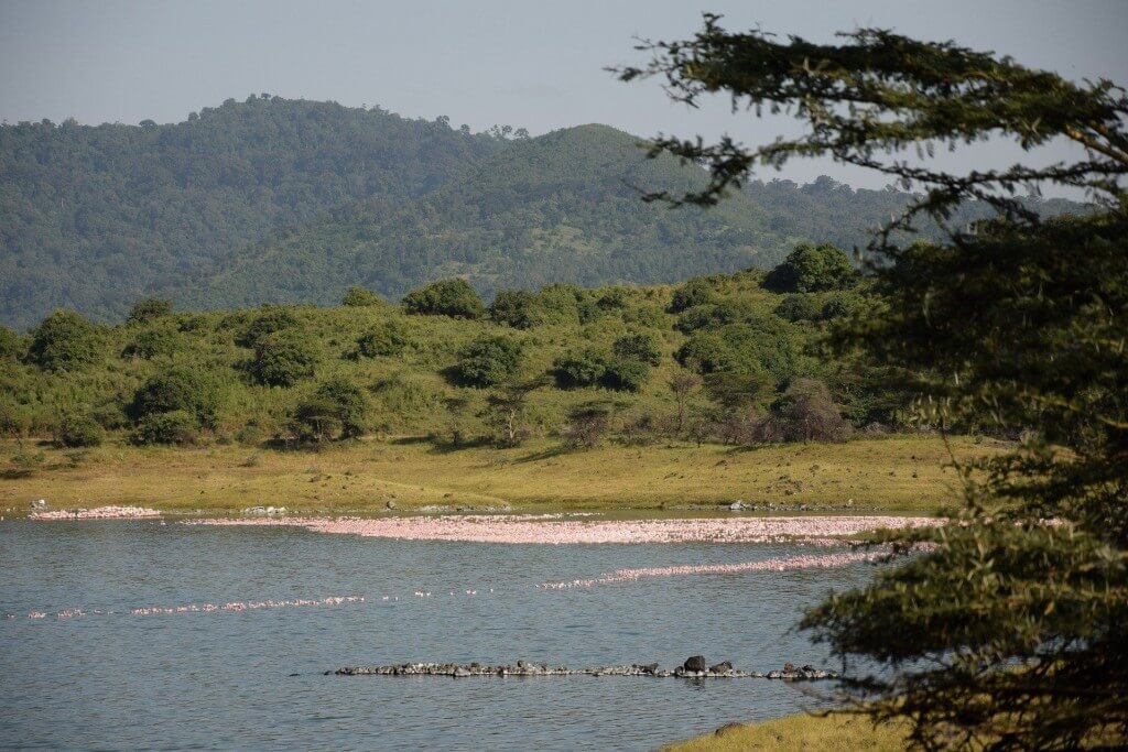 Arusha National Park