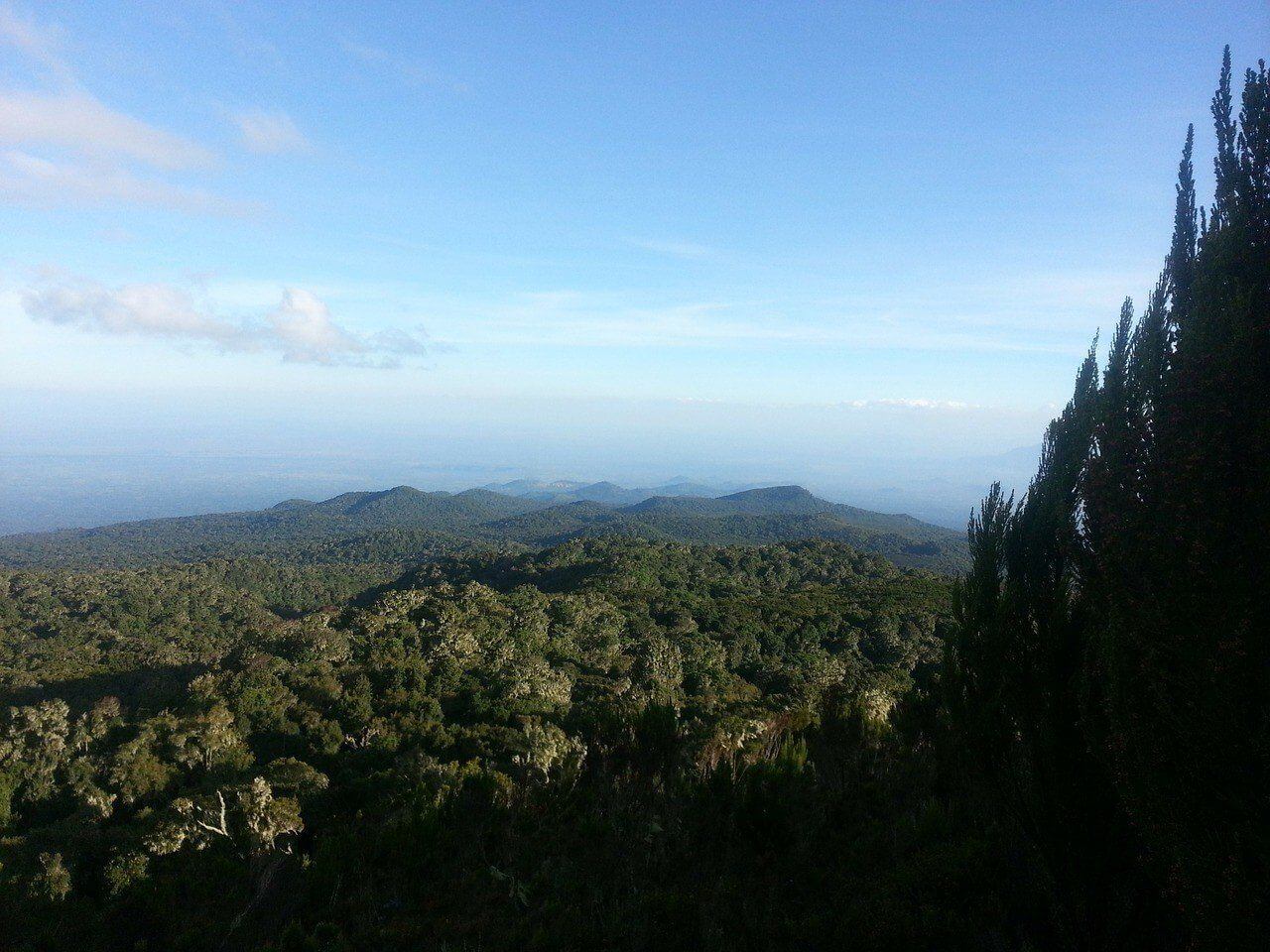 Kilimanjaro national park